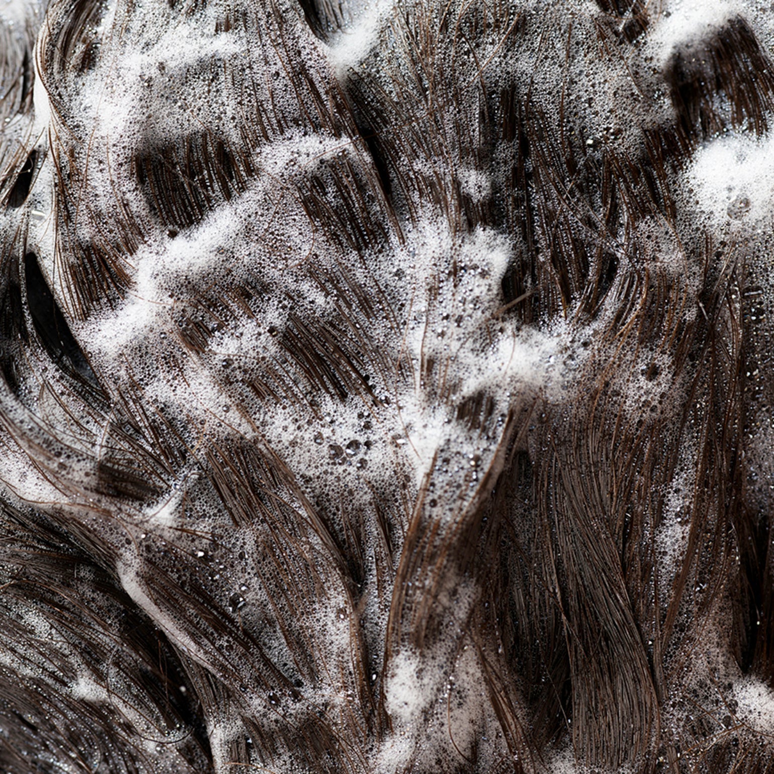 Signature Shampoo - Oribe Hair Care - Image 5